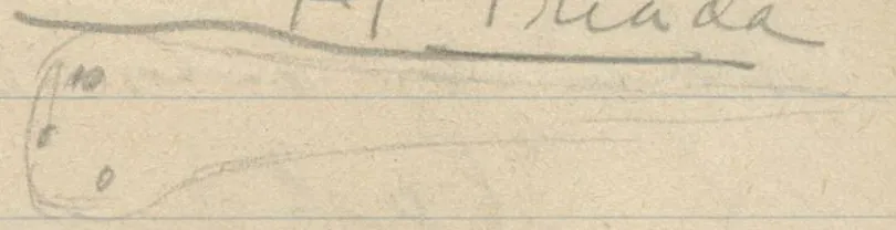 Drawing on the page