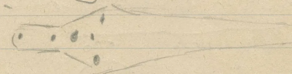 Elongated blade-like shape with two dots at the rounded left end