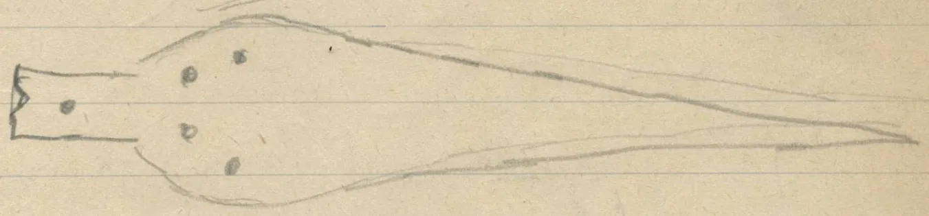 Two dagger/knife blades with tangs and rivet dots