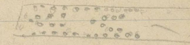 Two elongated rectangular strips with patterns of dots