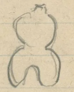 Outline of a figure with rounded torso and two legs