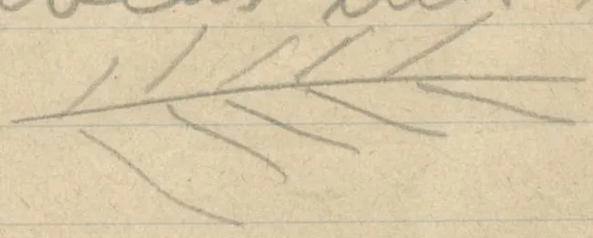 A horizontal line with angled strokes on both sides (herringbone pattern)