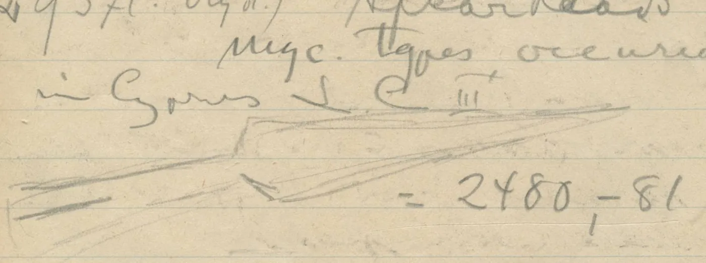 Spearhead with socket and midrib