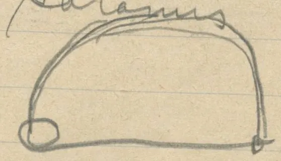 Arched bow-shaped object (fibula) with loop at left end and catch at right end