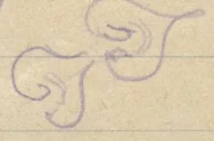 Three spiral and leaf motifs