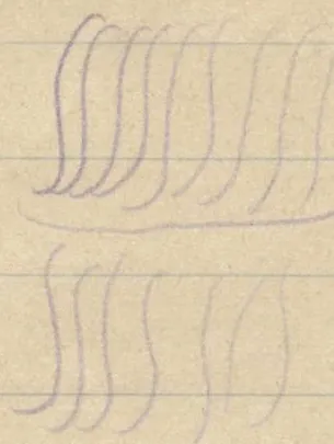 Two rows of vertical wavy lines separated by a horizontal line