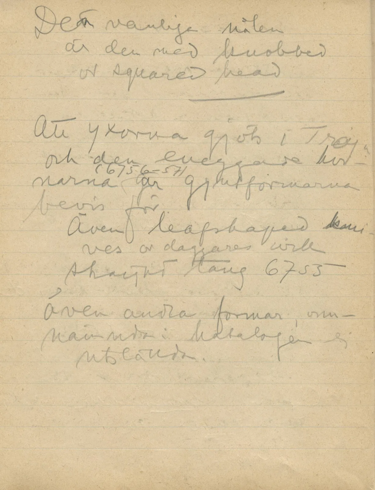 Scan 26 of notebook 000005 (Notes on pottery from Troy, the Cyclades and Crete), handwritten in Swedish. The transcription and translation follow.