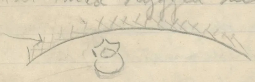 Curved hatched line representing a wall with a vertebra drawn against it