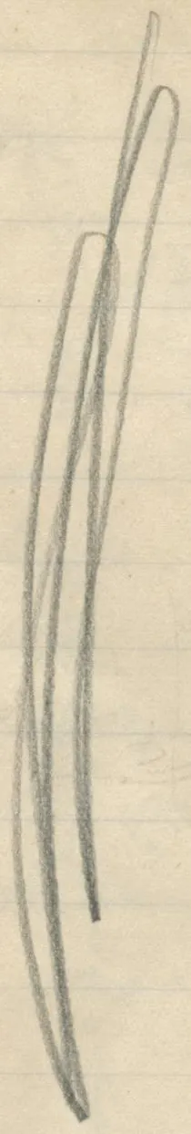 Drawing on the page