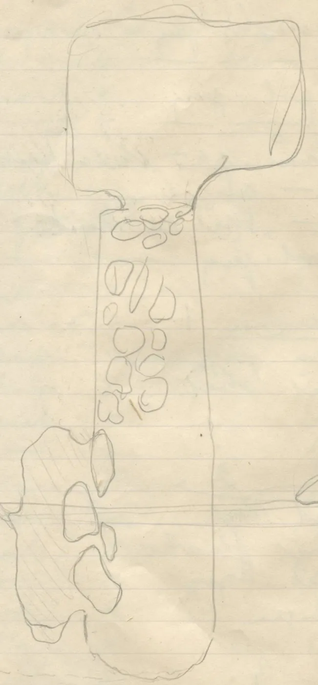 Plan of a rectangular chamber with an elongated dromos containing stones and a side niche on the left, with a smaller profile sketch on the right
