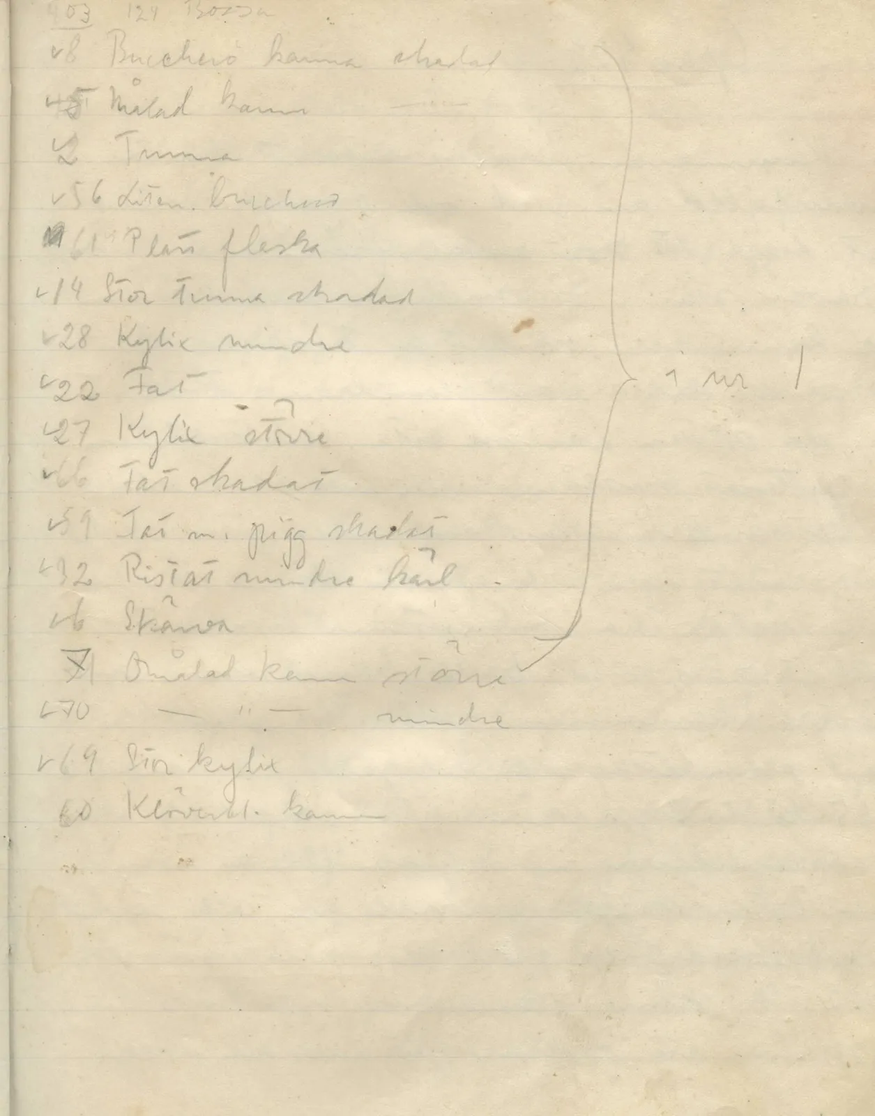 Scan 100 of field diary DII:1b (Lapithos, Kastros), handwritten in Swedish. The transcription and translation follow.