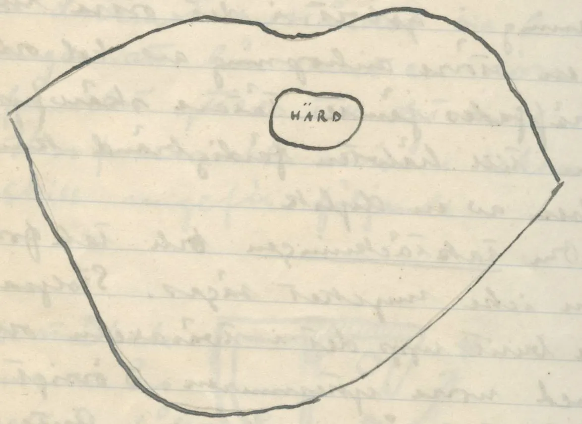 Irregular polygonal outline with a smaller oval outline inside