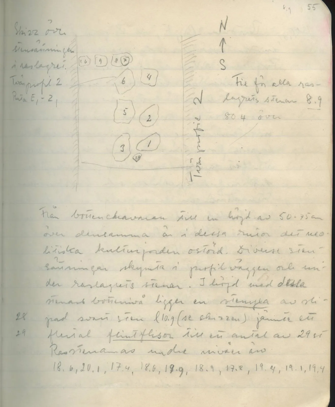 Scan 56 of field diary DII:1d (Idalion and Lapithos, Plakes), handwritten in Swedish, with drawings. The transcription and translation follow.