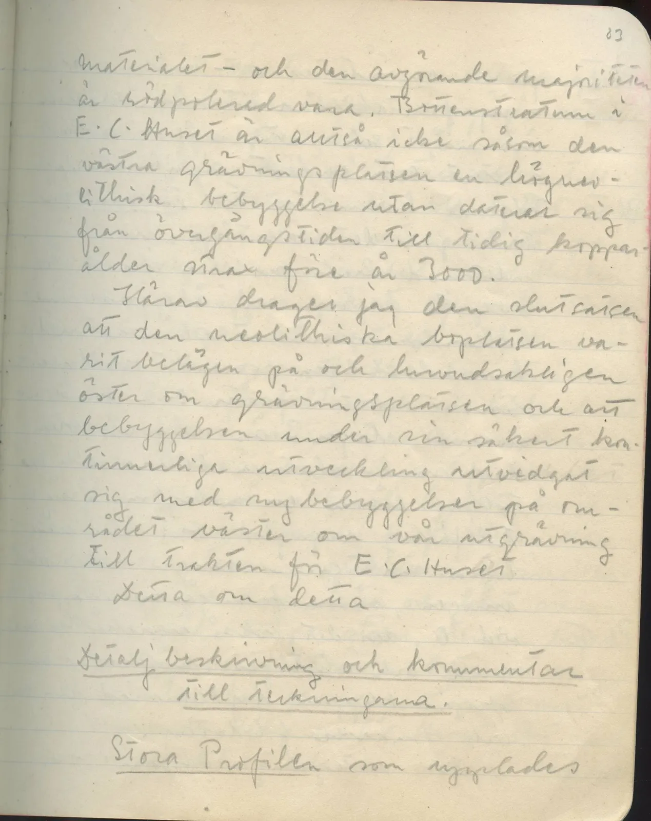 Scan 84 of field diary DII:1d (Idalion and Lapithos, Plakes), handwritten in Swedish. The transcription and translation follow.