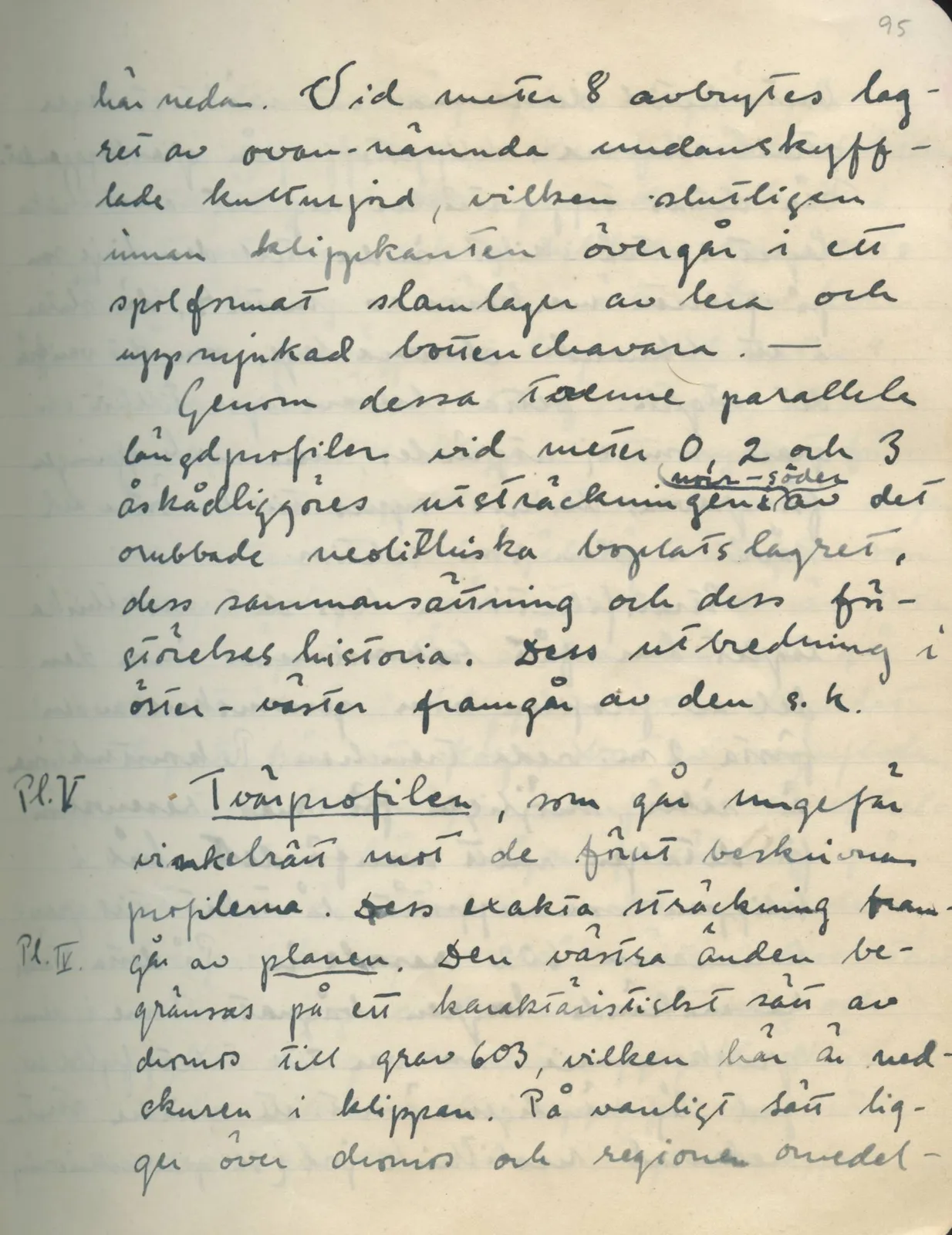 Scan 96 of field diary DII:1d (Idalion and Lapithos, Plakes), handwritten in Swedish. The transcription and translation follow.