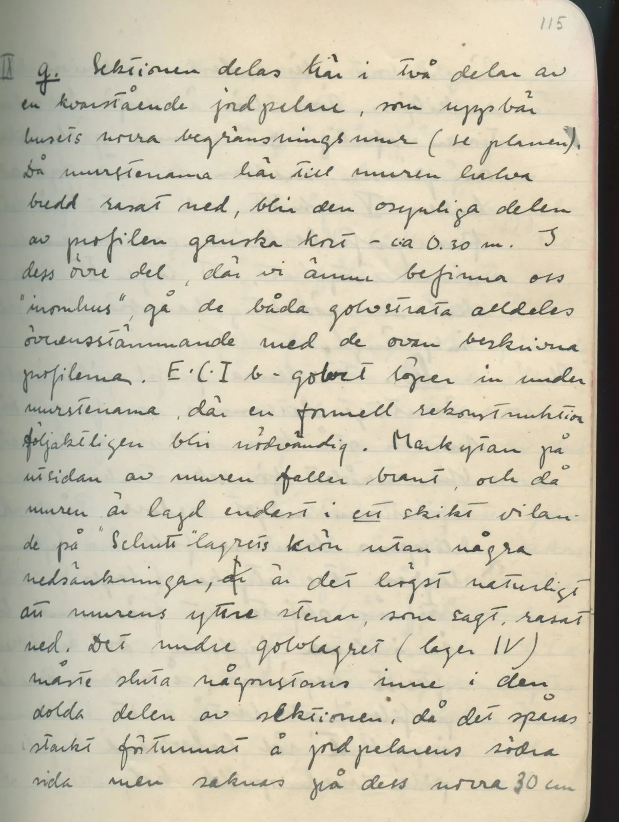 Scan 116 of field diary DII:1d (Idalion and Lapithos, Plakes), handwritten in Swedish. The transcription and translation follow.