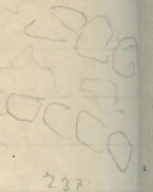 Drawing on the page