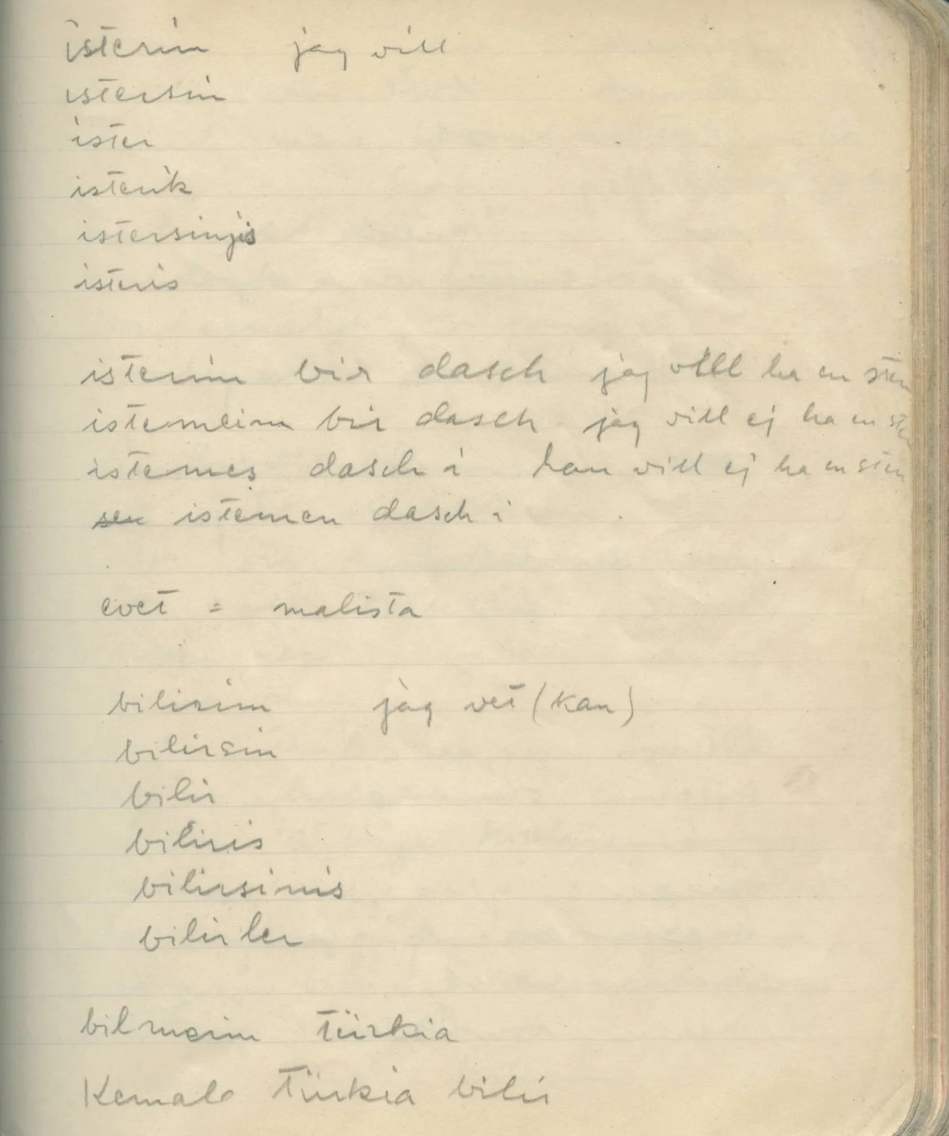 Scan 173 of field diary DII:1e (Nitovikla, Ayia Irini, Enkomi and other find lists), handwritten in Swedish. The transcription and translation follow.