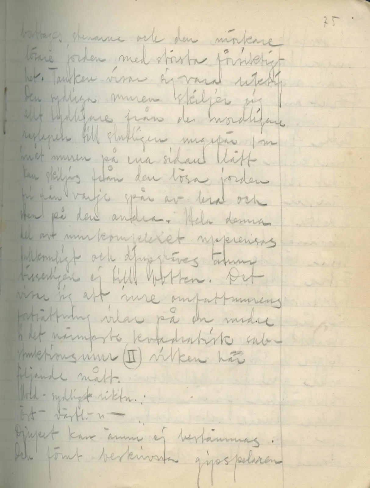 Scan 73 of field diary DII:2a (Soli, the theatre), handwritten in Swedish. The transcription and translation follow.