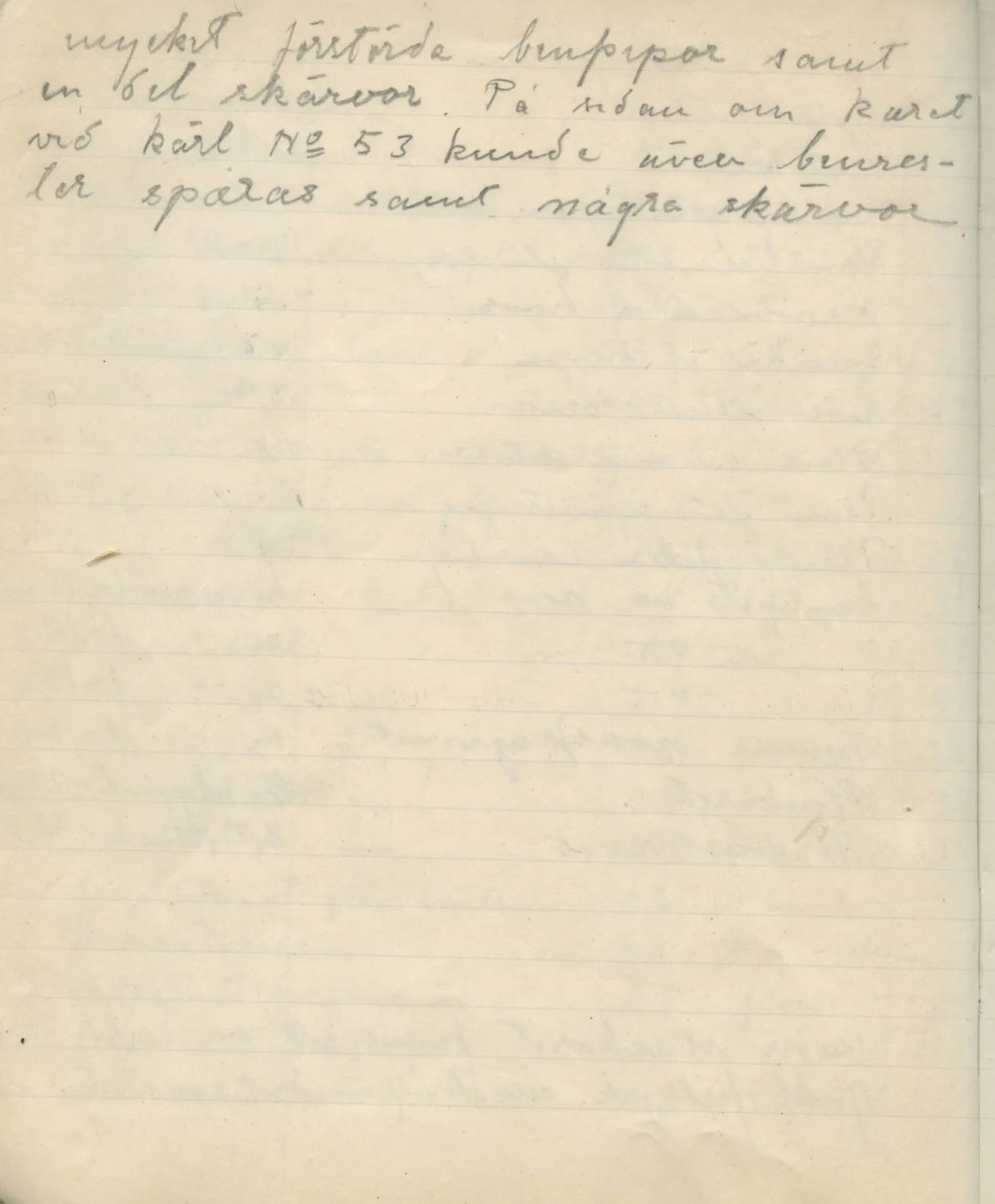 Scan 8 of field diary DII:2c (Ayios Iakovos), handwritten in Swedish. The transcription and translation follow.