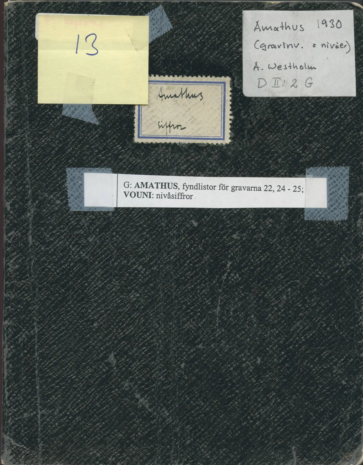 Scan 1 of field diary DII:2g (Amathus, tomb inventory and levels), handwritten in Swedish. The transcription and translation follow.