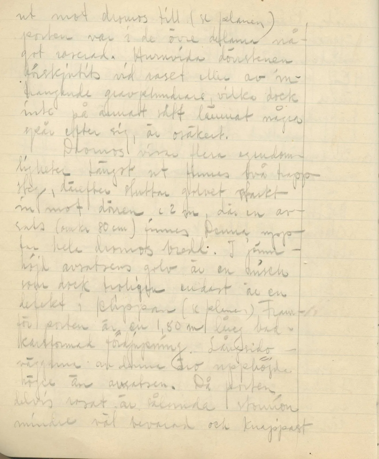 Scan 48 of field diary DII:3b (Vouni, Korakas and the palace), handwritten in Swedish. The transcription and translation follow.