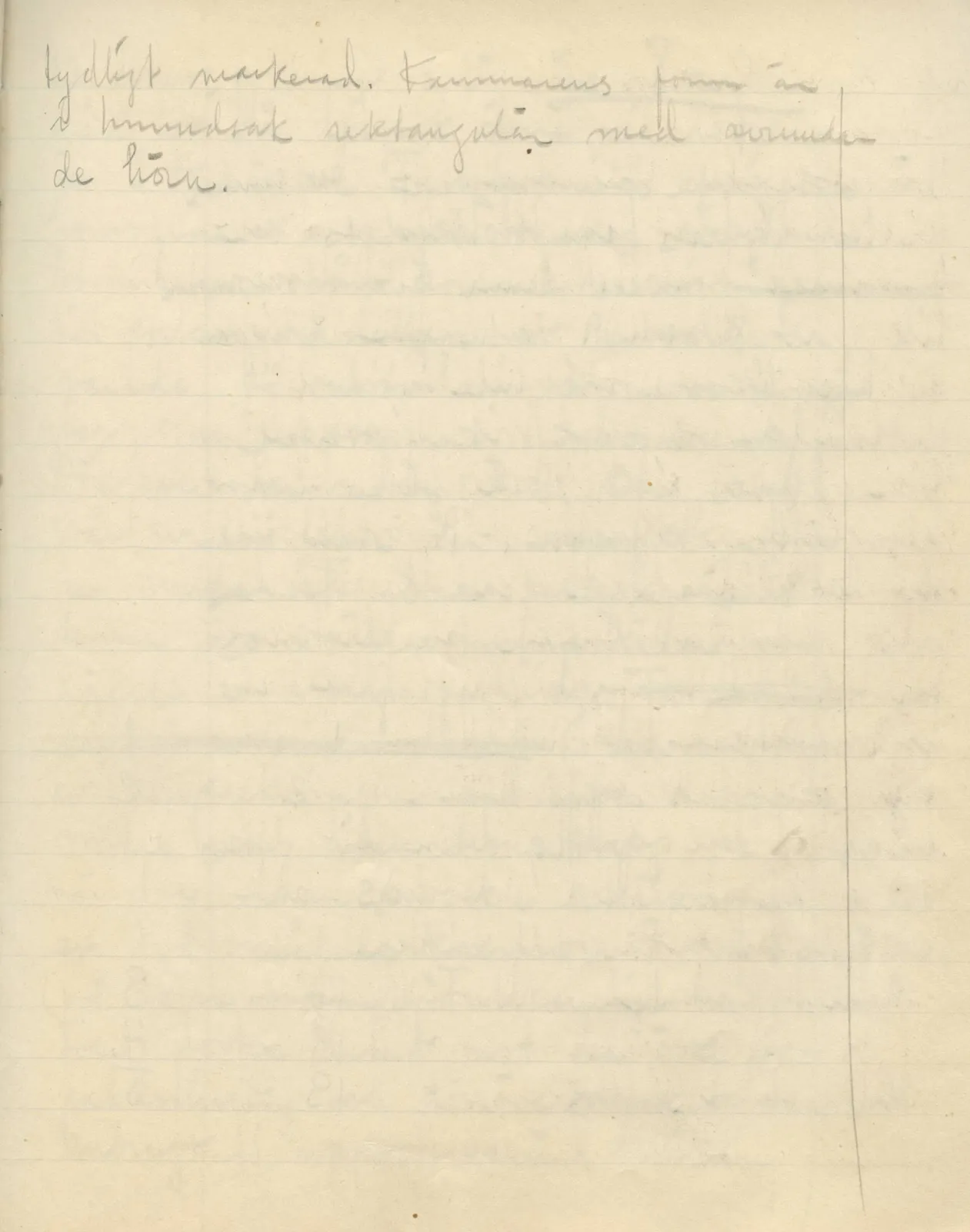 Scan 49 of field diary DII:3b (Vouni, Korakas and the palace), handwritten in Swedish. The transcription and translation follow.