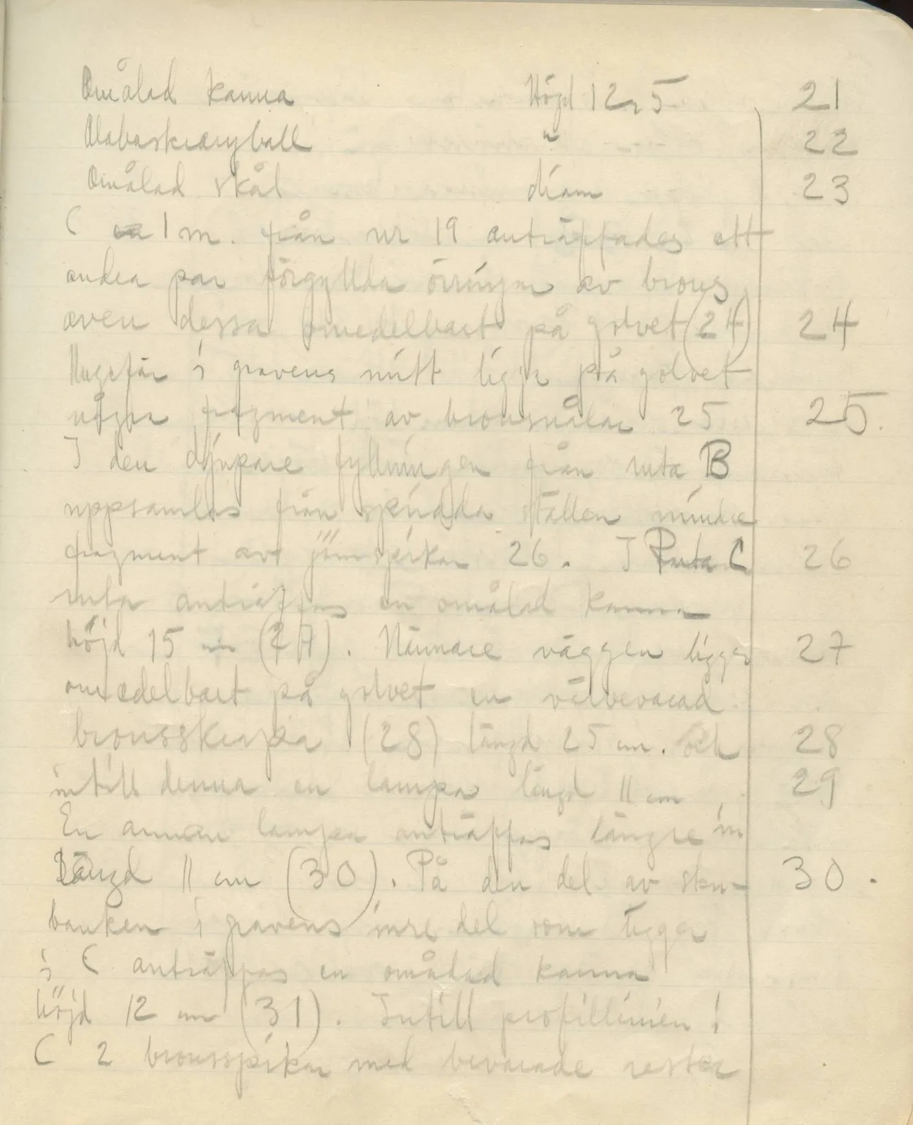 Scan 55 of field diary DII:3b (Vouni, Korakas and the palace), handwritten in Swedish. The transcription and translation follow.