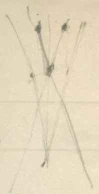 Intersecting lines with points marked by x in top left corner