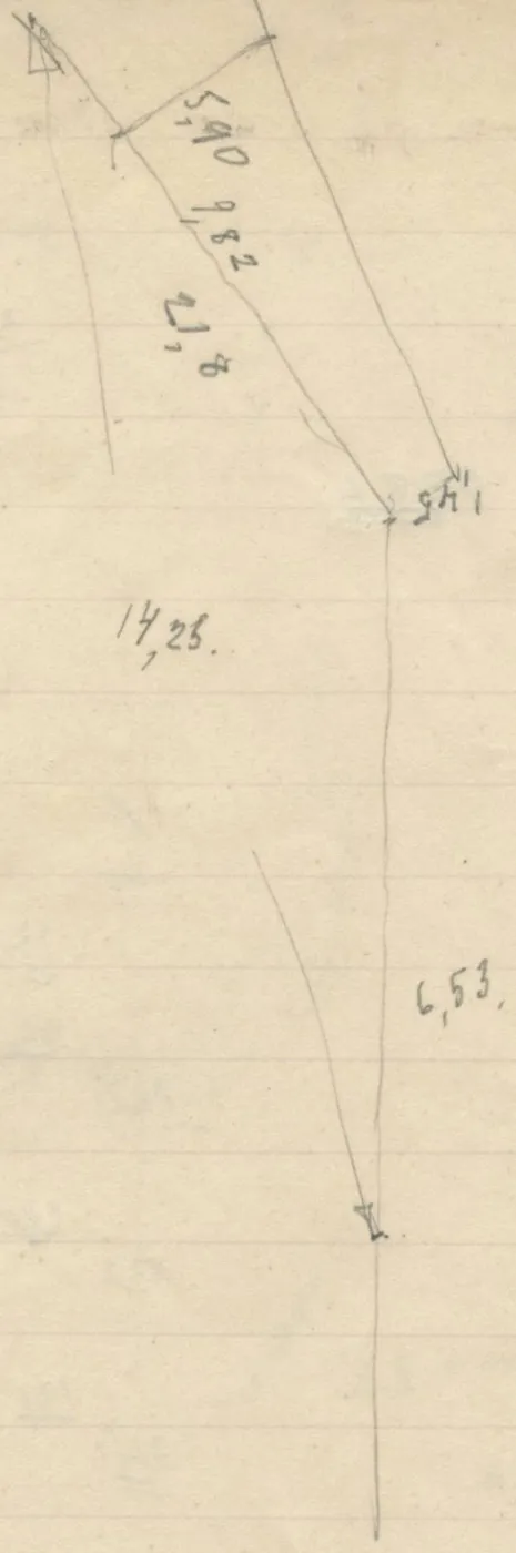 Survey lines and angles with measurements