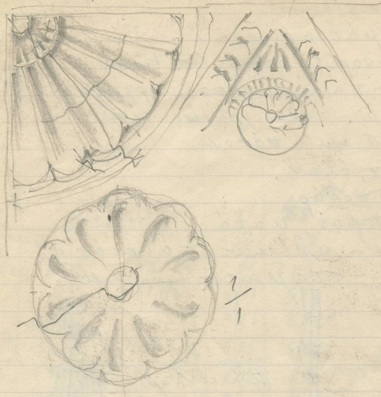 Three drawings of carved architectural decoration: at top, a corner with a fluted shell or fan motif and an adjacent triangular spandrel containing a rosette; in the middle, a detailed circular rosette; at bottom, a small detail of scalloped and moulded bands