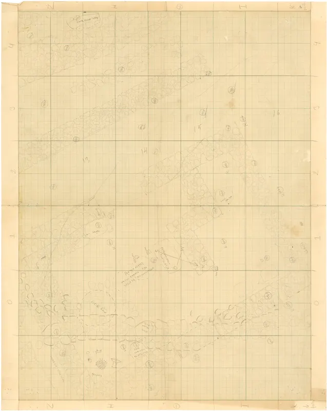 Field plan of Ayia Irini on squared grid paper, showing rows of stone wall outlines and numbered squares