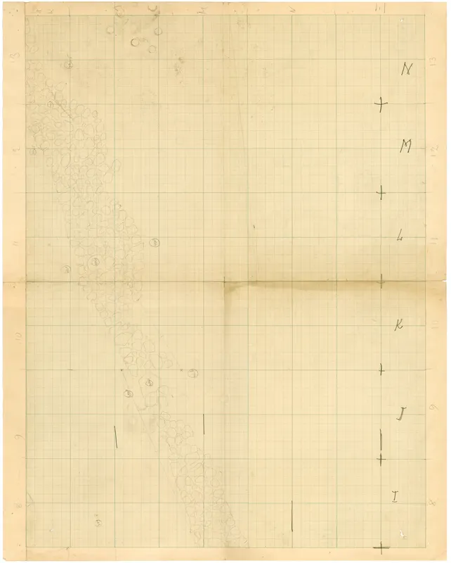 Field drawing of a plan at Ayia Irini on squared paper, showing a diagonal band of drawn stones