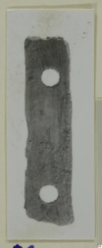 Elongated dark bone piece with two round holes, photographed against a white background and mounted on a card