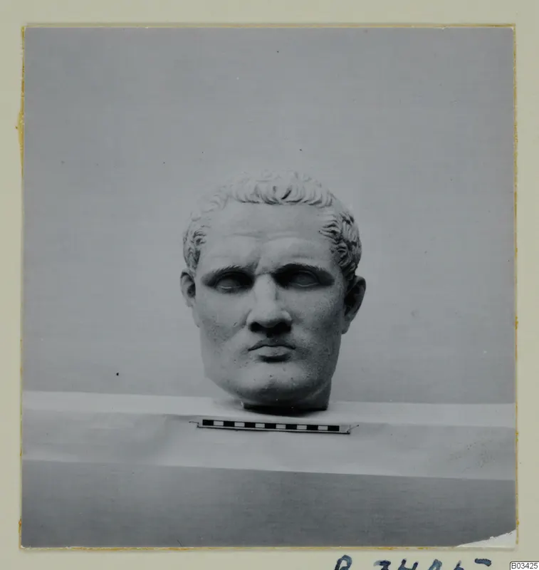 Stone head of a man with short curly hair, photographed frontally on a ledge beside a scale bar.