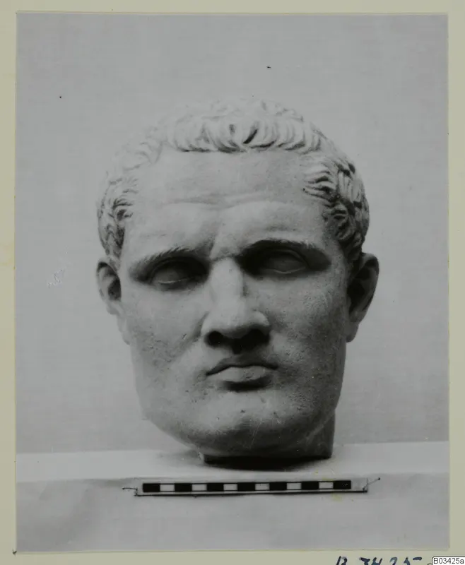 Sculpted head of a man with short curled hair, facing the camera, with a scale bar in front of it.