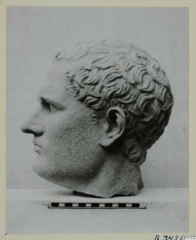 Carved stone head of a man turned to the left, with short curly hair, photographed against a plain backdrop.