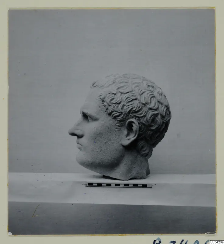 Marble head of a man with curly hair, shown in profile against a grey backdrop.