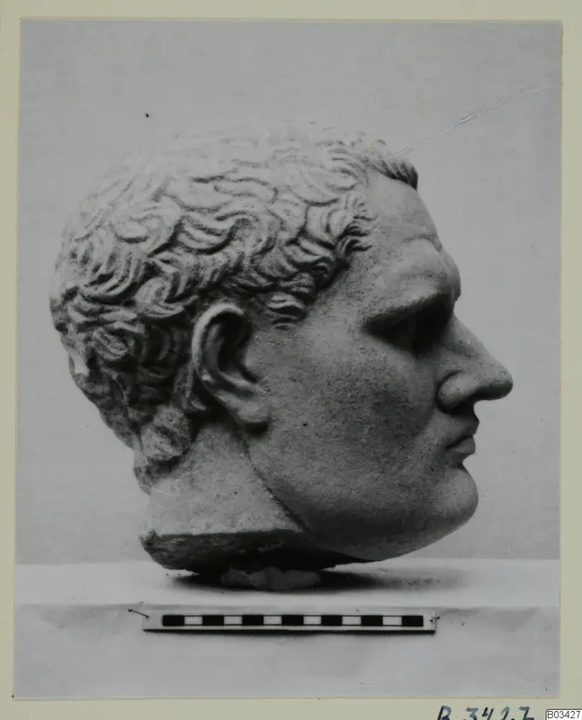 Marble head of a man in profile, short curly hair, shown with a scale bar beneath it.