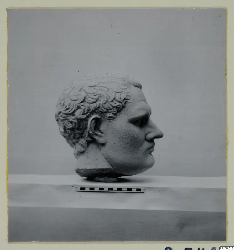 Stone head of a man with curly hair, shown in profile on a pale support beside a scale bar.