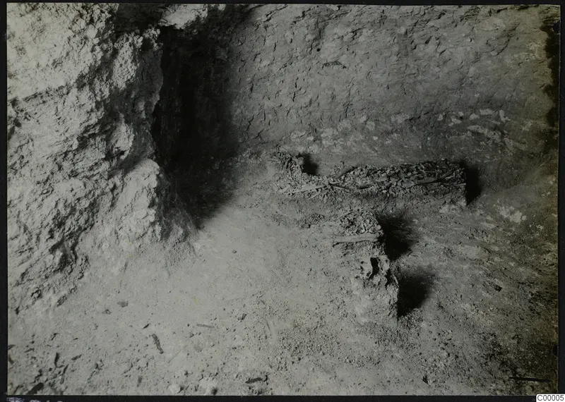 Tomb 302 at Vrysi tou Barba, Lapithos: chamber interior with a ledge holding scattered bone fragments and stones.