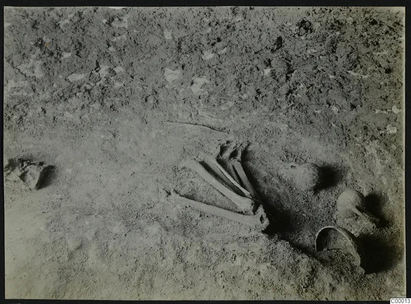 Skeleton bones and two vessels lying in excavated soil in Tomb 315 b-c at Lapithos