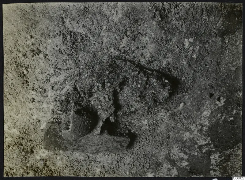 Excavated soil at Tomb 306 c., Lapithos, with a dark hollow and a partly buried curved object