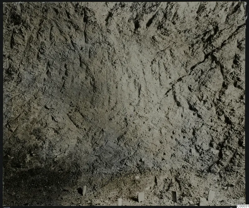 Tomb 302 at Lapithos, Vrysi tou Barba: close view of a tomb chamber surface marked by tool strokes during excavation
