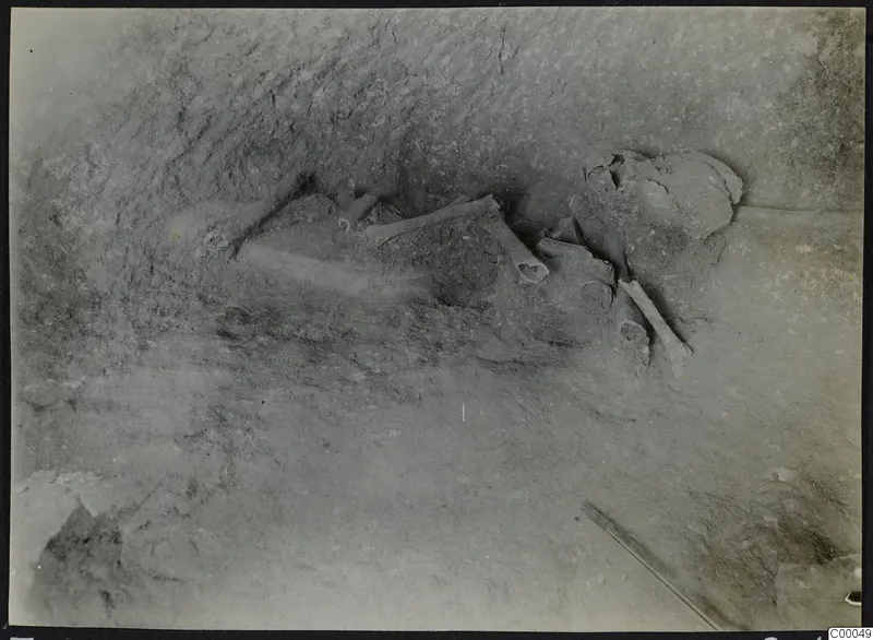 Tomb 305 at Lapithos, Vrysi tou Barba: skeletal remains lying in soil on the floor of a tomb chamber during excavation