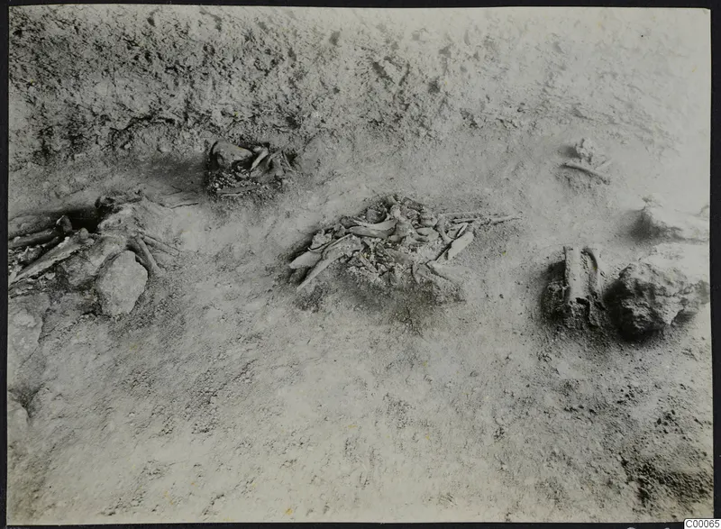 Tomb 303 a at Lapithos during excavation, with scattered skeletal remains and stones in the soil