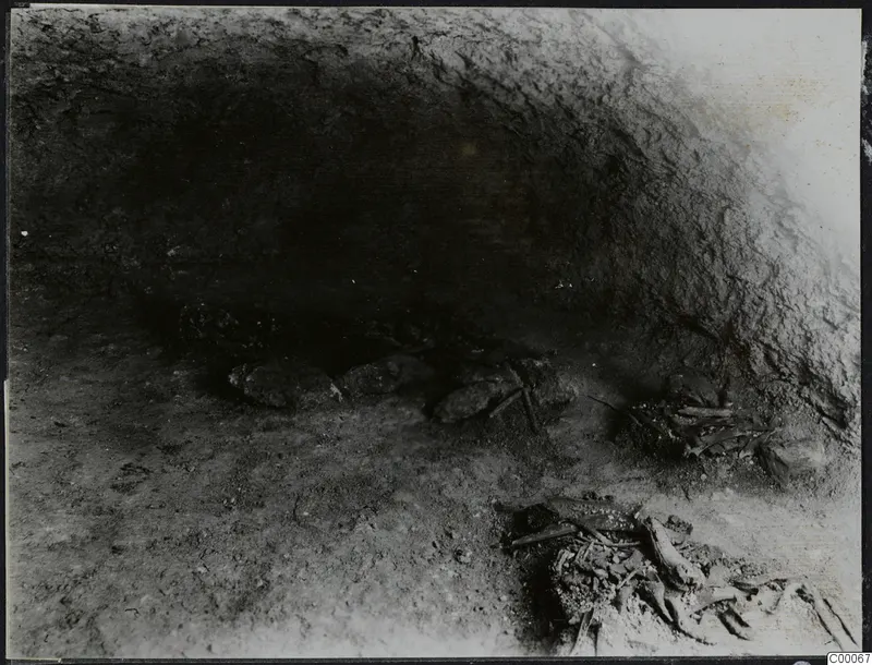 Tomb chamber at Lapithos during excavation, with stones and scattered skeletal remains on the floor