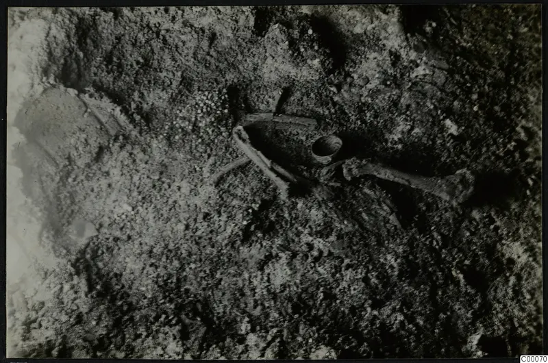 Skeleton lying in soil in Tomb 322 b at Lapithos, Vrysi tou Barba, during excavation