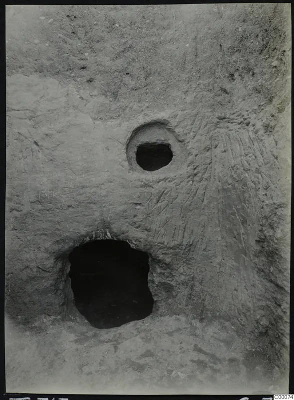 Tomb 313 at Lapithos during excavation: dark tomb opening and a small round hole in a cut face of pale soil