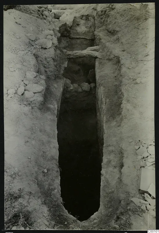 Tomb 410 at Lapithos Kastros during excavation: a narrow cut descending between earth banks, with timber beams and stones